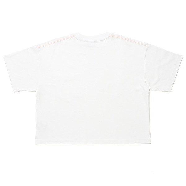 Dickies® x STUDIO SEVEN BIG T-SHIRT 詳細画像 Green 2
