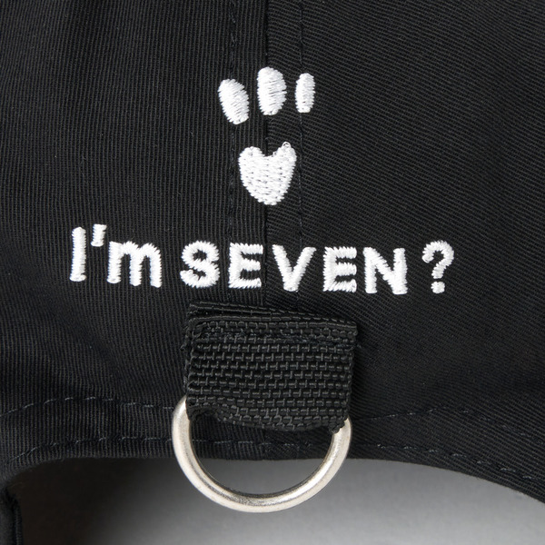 I'm SEVEN？ Cap 詳細画像 Black 11