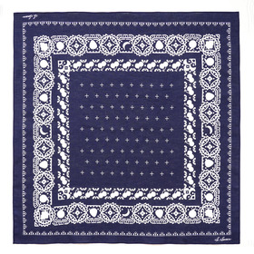 Fruit Graphic Bandana
